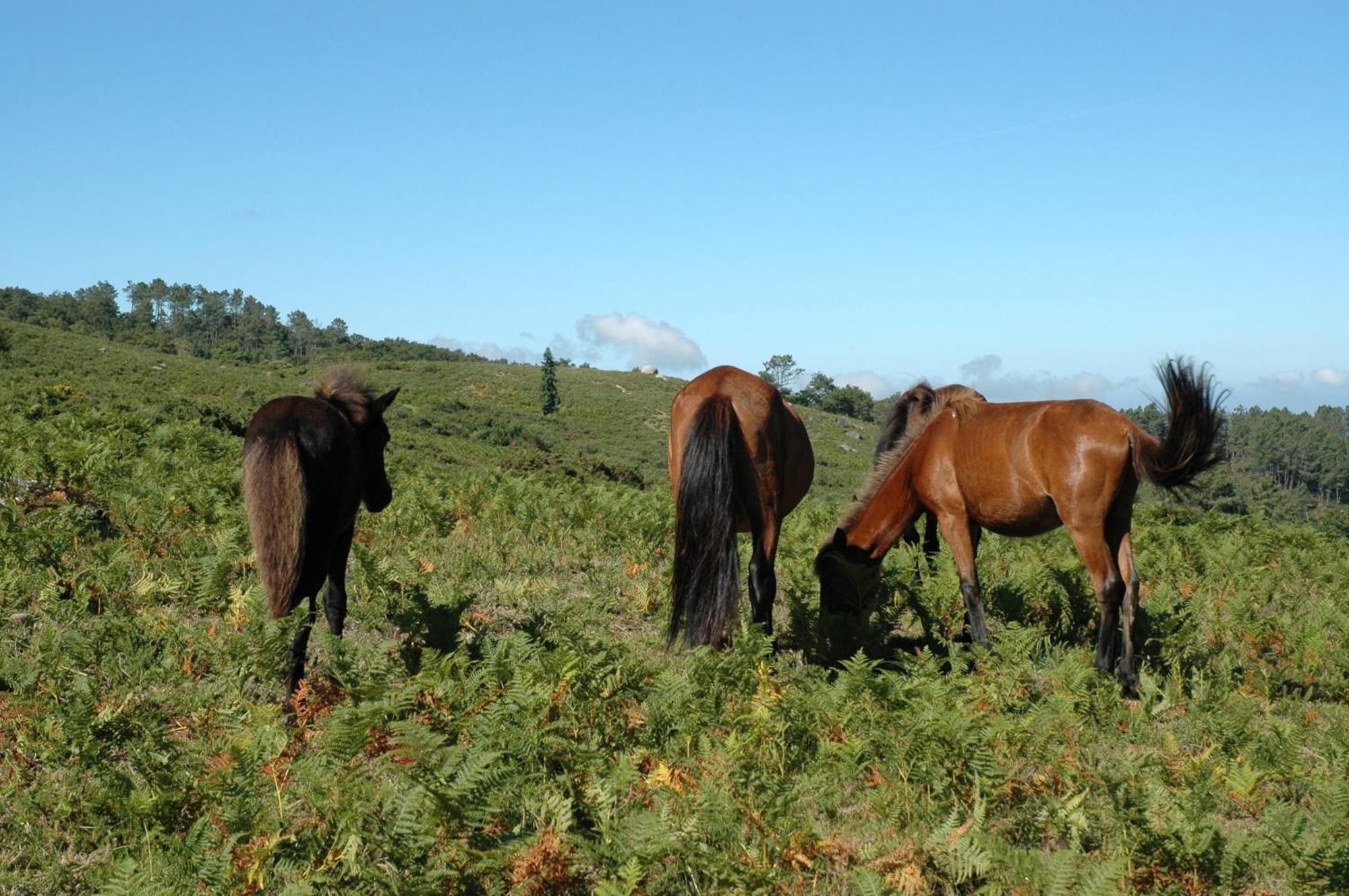 Casa De Campo Monte Abades แตร์ฮัส เจ บอว์โร ภายนอก รูปภาพ